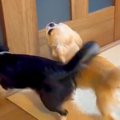 フルマラソンを完走…
