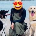 ２頭の犬と一緒に『…