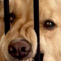 『家を間違えたかと…