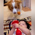 おもちゃで遊ぶ赤ち…