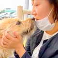 犬が5日ぶりに『お母…