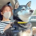 『ピクニックだ！』…
