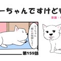 ちーちゃんですけど…