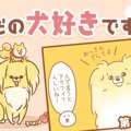 ただの犬好きです。…