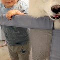 こっそりアイスを食…
