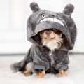 『犬用グッズ』絶対N…