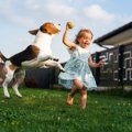 犬の飼うことと子ど…