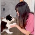 生後2ヵ月の子犬が『…