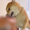 『許してくれ…！』帰…