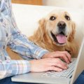 警告！愛犬の名前を…