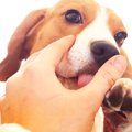 愛情表現ではないこ…