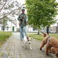 犬との散歩中『歩き…