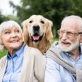 犬を飼ったことがあ…