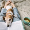 犬が飼い主にベタベ…