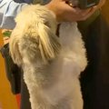 『配達員のお兄さん…