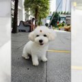 これぞお洒落？！落…