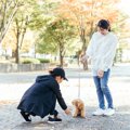 『モラルがない』と…