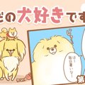 ただの犬好きです。…