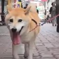 【ドッキリ！】突然…
