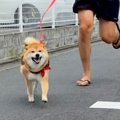散歩中にママを発見…