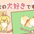 ただの犬好きです。…