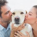 犬を不幸にしてしま…