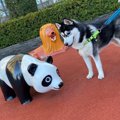 「同じカラーだけど…