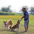 犬は飼い主の子供と…