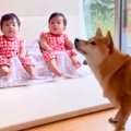 赤ちゃんたちの前で…