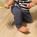 小さな男の子が『犬…