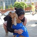 犬のペットシッター…