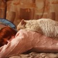 女性の飼い主は人間…