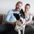 愛犬に嫌われてない…