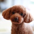 何のためにあるの？…