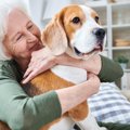 犬に顔を近づけた時…