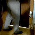 保護犬と『3日ぶりに…