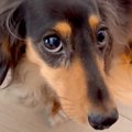 『あ、なんかやらか…