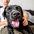 犬はどんな風に話し…