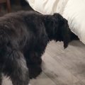 寝室のベッド下から…