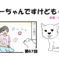 ちーちゃんですけど…