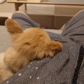 甘えん坊タイム中の…