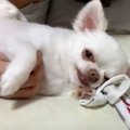 くすぐったいポイン…