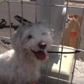 線路わきに住み着い…