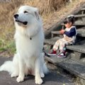 2歳の女の子が超大型…