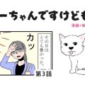 ちーちゃんですけど…