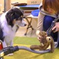 犬が大好きな『クマ…