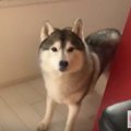 探し物が見つからな…