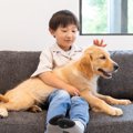 子犬を迎えたらまず…