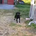おじいちゃんの家に…