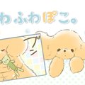 ふわふわぽこ。【第1…